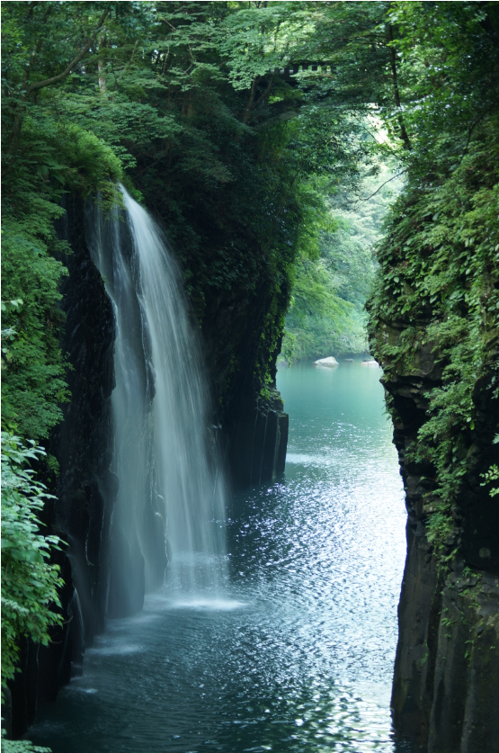 株式会社ヴィーナストラベル, 画像サイズ:555x837